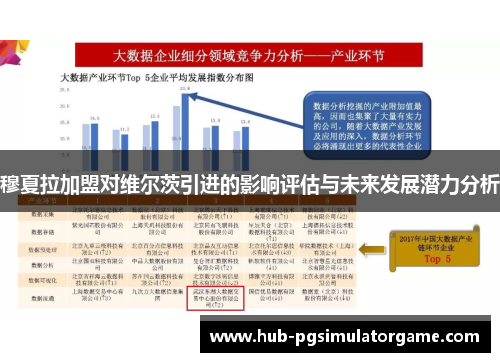 穆夏拉加盟对维尔茨引进的影响评估与未来发展潜力分析