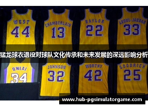 猛龙球衣退役对球队文化传承和未来发展的深远影响分析