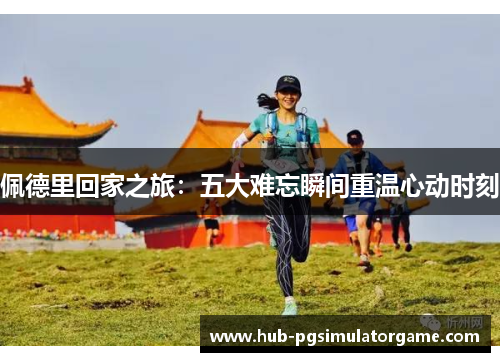 佩德里回家之旅:五大难忘瞬间重温心动时刻 佩德里回家之旅:五大难忘瞬间重温心动时刻