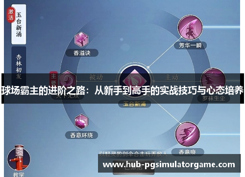 球场霸主的进阶之路:从新手到高手的实战技巧与心态培养 球场霸主的进阶之路:从新手到高手的实战技巧与心态培养