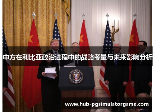 中方在利比亚政治进程中的战略考量与未来影响分析