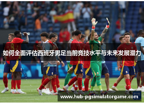 如何全面评估西班牙男足当前竞技水平与未来发展潜力