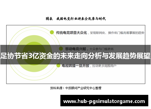 足协节省3亿资金的未来走向分析与发展趋势展望 足协节省3亿资金的未来走向分析与发展趋势展望