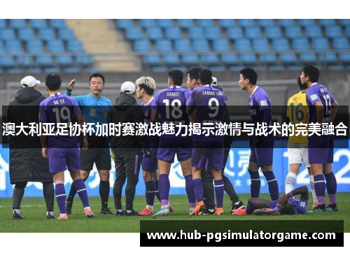 澳大利亚足协杯加时赛激战魅力揭示激情与战术的完美融合 澳大利亚足协杯加时赛激战魅力揭示激情与战术的完美融合