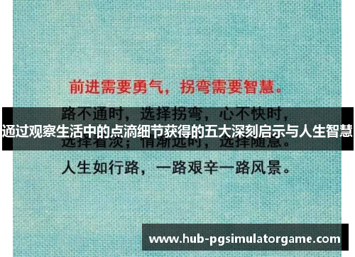 通过观察生活中的点滴细节获得的五大深刻启示与人生智慧