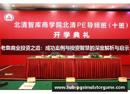 老詹商业投资之道：成功案例与投资智慧的深度解析与启示